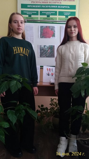 Цветовод 2024 01 24 001