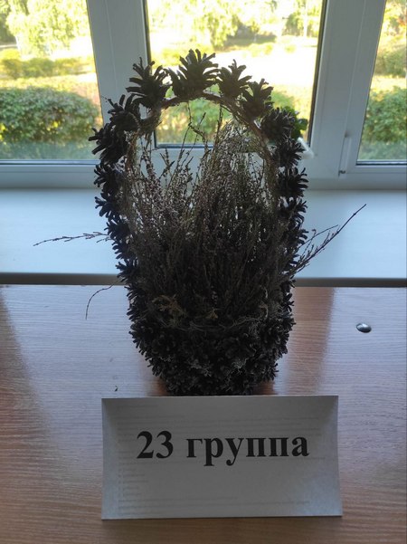 Поделки 2023 09 21 008