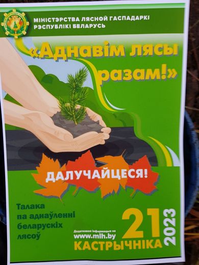 Обновим лес вместе 2023 10 21 001