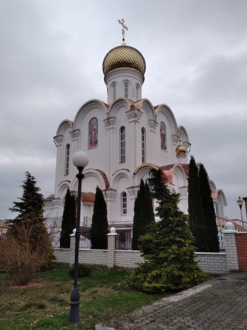 213123123dsf.jpg