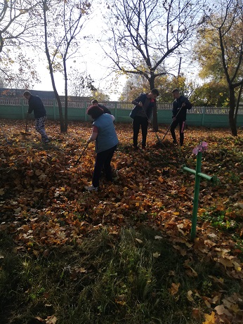IMG_20181019_141617.jpg
