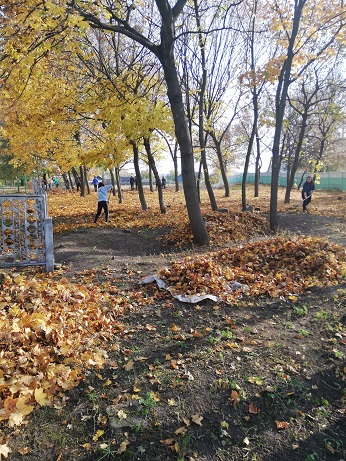 IMG_20181019_141632.jpg