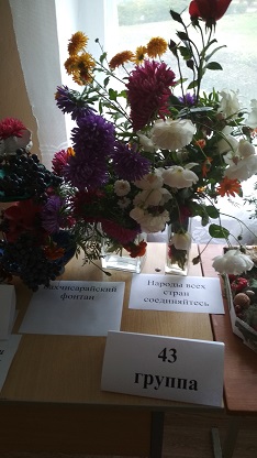 IMG_20190927_134130.jpg