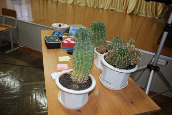 IMG_2091.JPG