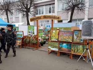 изображение viber 2022 11 12 16 48 49 243